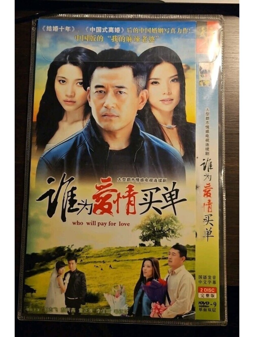 Who Will Pay For Love Chinese Drama DVD Set 谁为爱情买单 2-Disc Complete VG